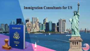 Immigration Consultants for US